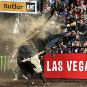 Meet your Posher, Omar